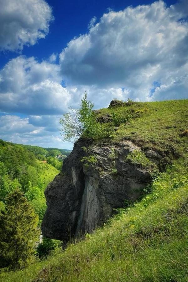 Steinberg-Blick Apartment Herzberg am Harz Bagian luar foto